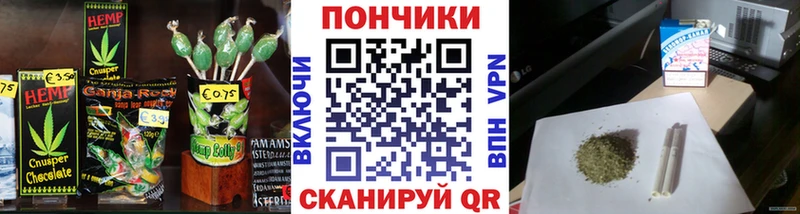 Купить  Тбилисская  Canna-Cookies конопля 