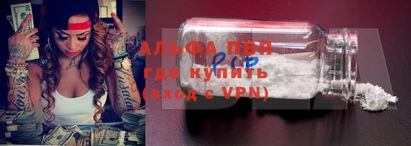 spice Елизово