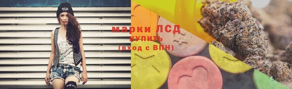 spice Елизово