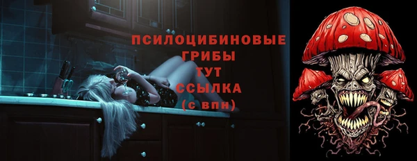 spice Елизово