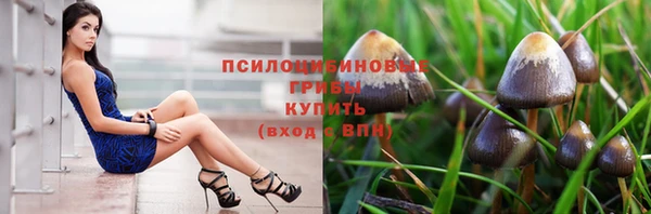 spice Елизово