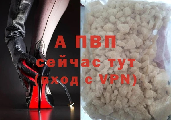 spice Елизово