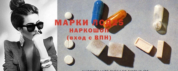 spice Елизово