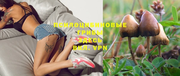 spice Елизово