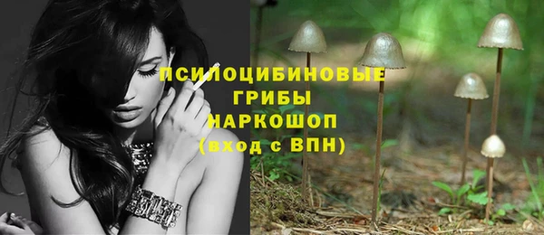 spice Елизово