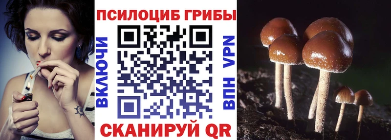 Галлюциногенные грибы Cubensis  Купить закладки  Тбилисская 
